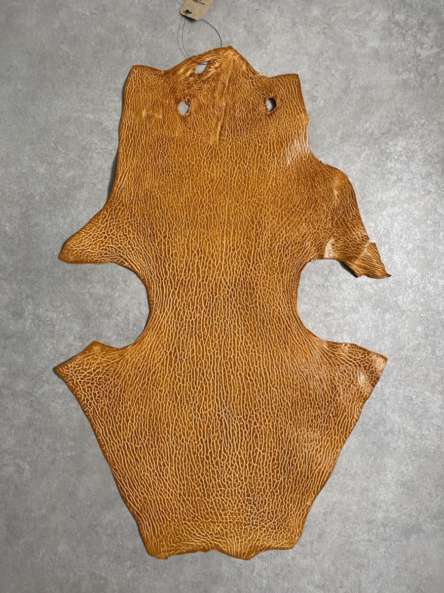 画像1: ケープシール　キャメル　オットセイ革　シールスキン　エキゾチックレザー (1)