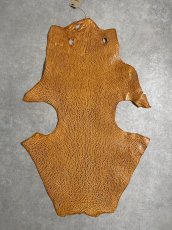 画像1: ケープシール　キャメル　オットセイ革　シールスキン　エキゾチックレザー (1)