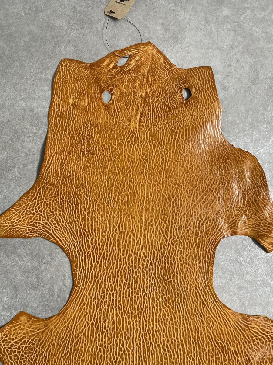 画像3: ケープシール　キャメル　オットセイ革　シールスキン　エキゾチックレザー (3)