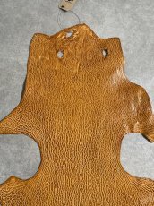 画像3: ケープシール　キャメル　オットセイ革　シールスキン　エキゾチックレザー (3)