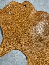 画像5: ケープシール　キャメル　オットセイ革　シールスキン　エキゾチックレザー (5)
