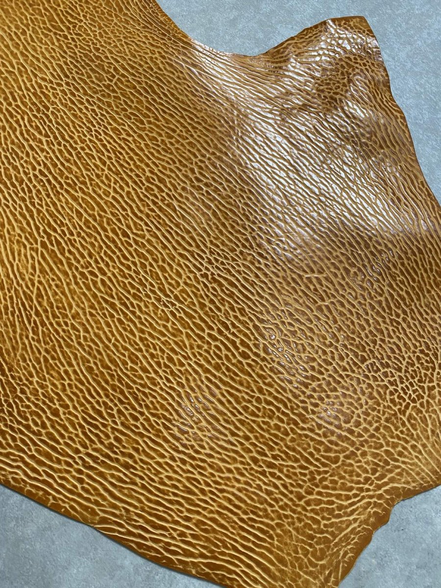 画像6: ケープシール　キャメル　オットセイ革　シールスキン　エキゾチックレザー (6)