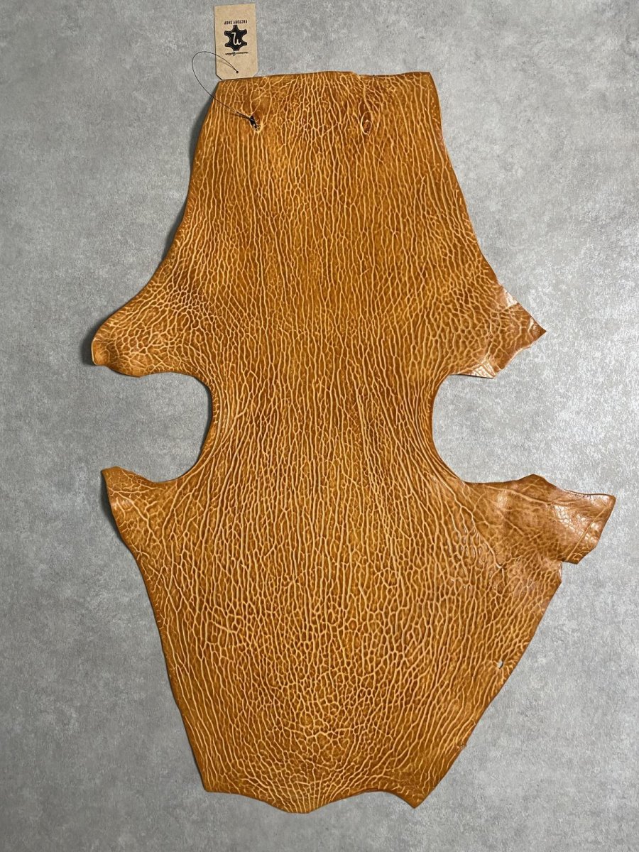 画像1: ケープシール　キャメル　オットセイ革　シールスキン　エキゾチックレザー (1)