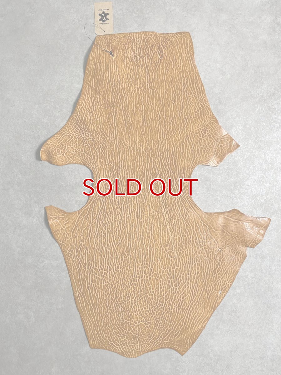 画像1: ケープシール　キャメル　オットセイ革　シールスキン　エキゾチックレザー (1)