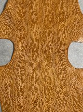 画像2: ケープシール　キャメル　オットセイ革　シールスキン　エキゾチックレザー (2)