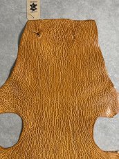 画像3: ケープシール　キャメル　オットセイ革　シールスキン　エキゾチックレザー (3)