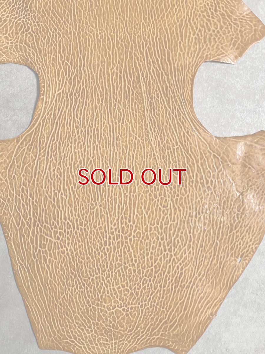 画像4: ケープシール　キャメル　オットセイ革　シールスキン　エキゾチックレザー (4)