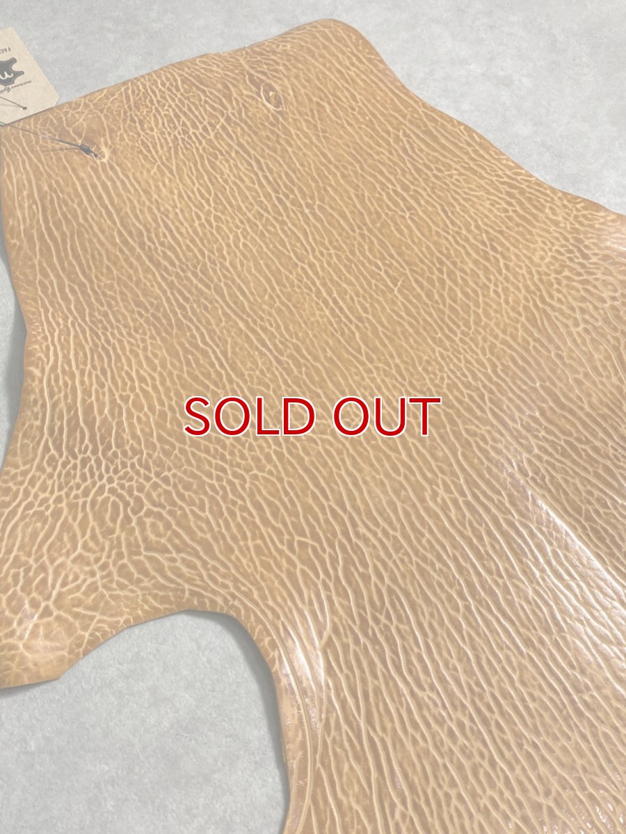 画像6: ケープシール　キャメル　オットセイ革　シールスキン　エキゾチックレザー (6)