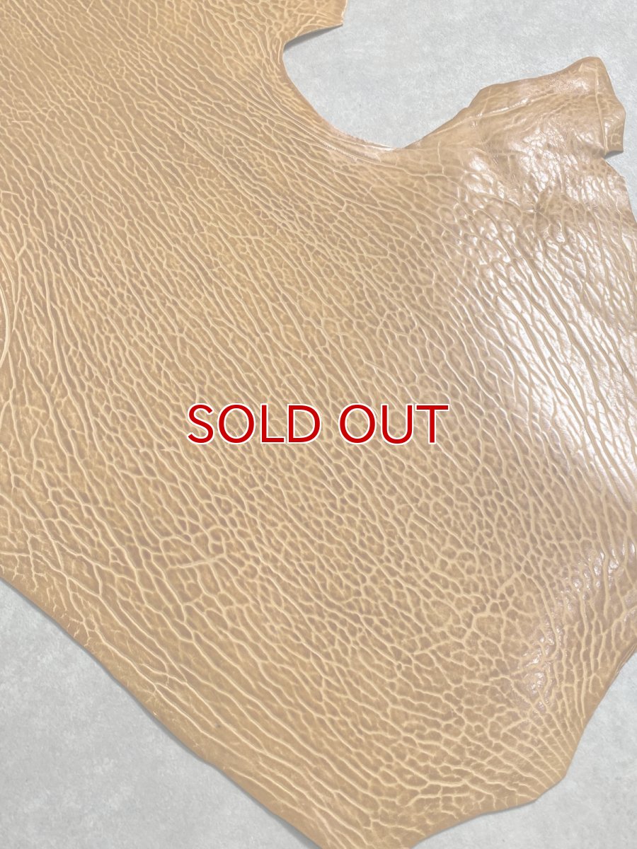 画像5: ケープシール　キャメル　オットセイ革　シールスキン　エキゾチックレザー (5)