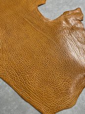 画像5: ケープシール　キャメル　オットセイ革　シールスキン　エキゾチックレザー (5)