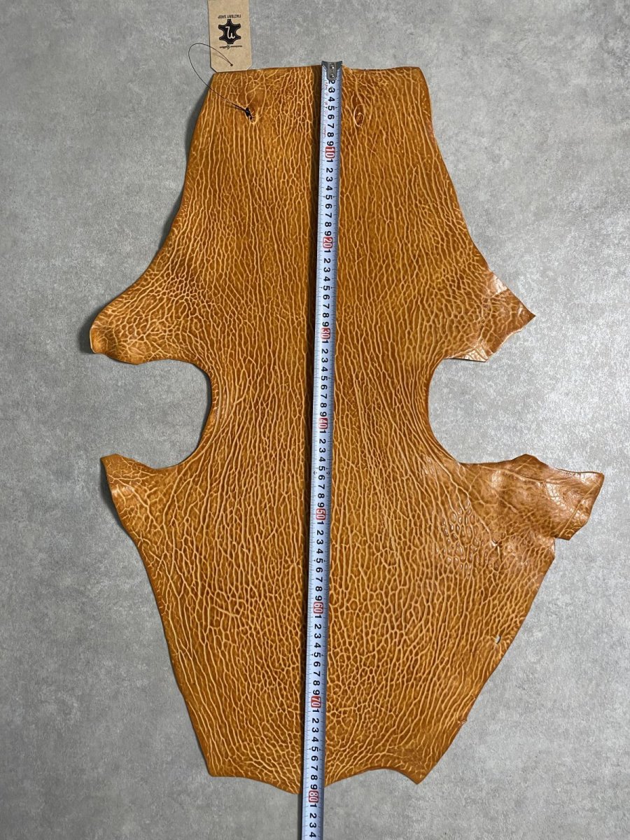 画像7: ケープシール　キャメル　オットセイ革　シールスキン　エキゾチックレザー (7)