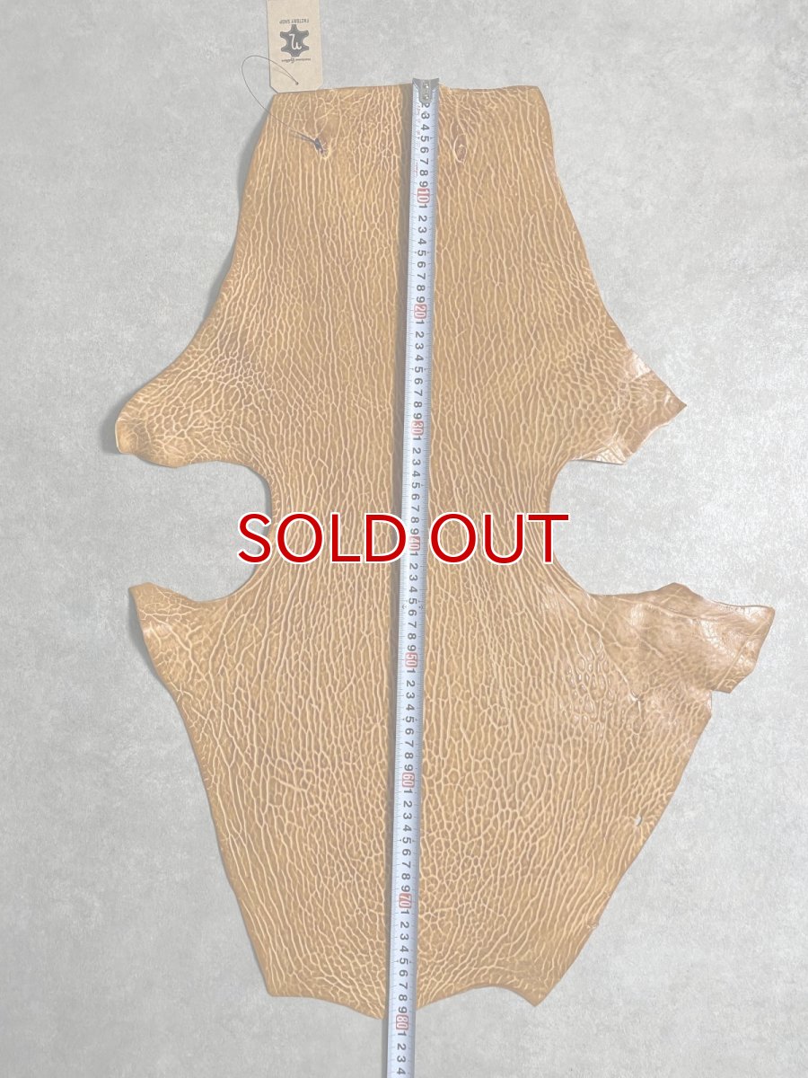 画像7: ケープシール　キャメル　オットセイ革　シールスキン　エキゾチックレザー (7)