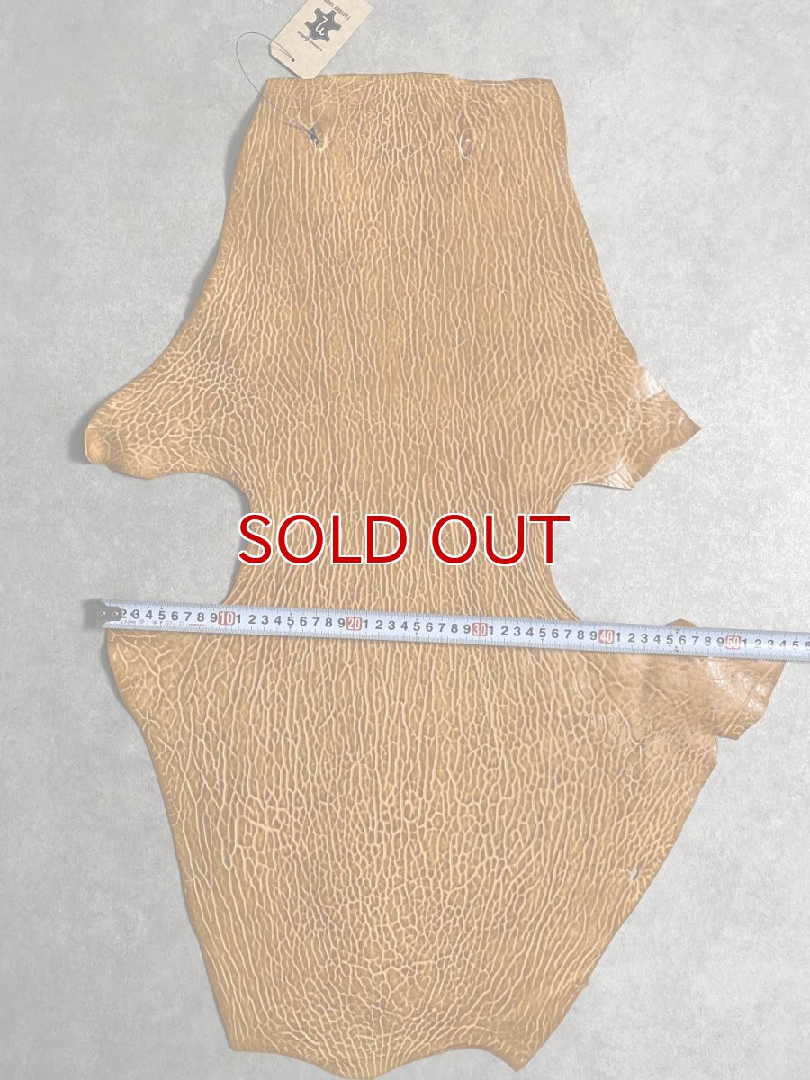 画像8: ケープシール　キャメル　オットセイ革　シールスキン　エキゾチックレザー (8)