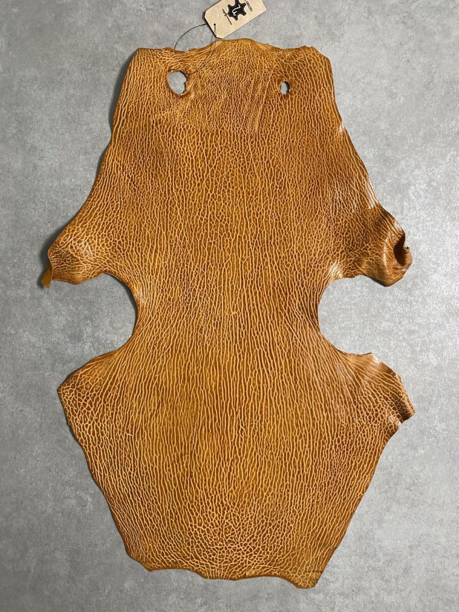 画像1: ケープシール　キャメル　オットセイ革　シールスキン　エキゾチックレザー (1)