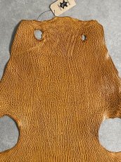 画像3: ケープシール　キャメル　オットセイ革　シールスキン　エキゾチックレザー (3)