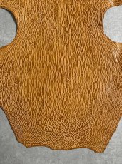 画像4: ケープシール　キャメル　オットセイ革　シールスキン　エキゾチックレザー (4)