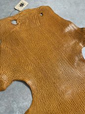 画像5: ケープシール　キャメル　オットセイ革　シールスキン　エキゾチックレザー (5)