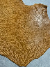 画像6: ケープシール　キャメル　オットセイ革　シールスキン　エキゾチックレザー (6)