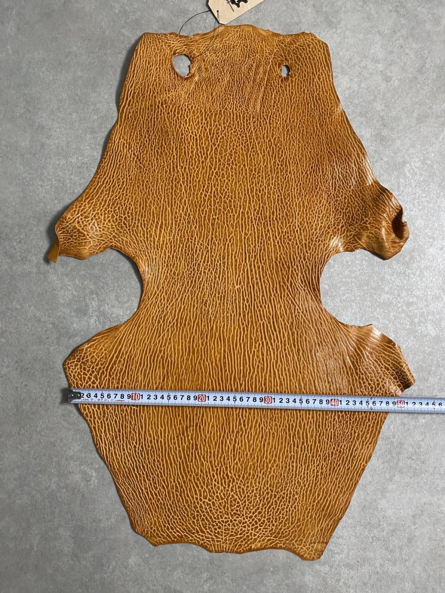 画像7: ケープシール　キャメル　オットセイ革　シールスキン　エキゾチックレザー (7)