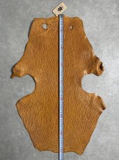 画像8: ケープシール　キャメル　オットセイ革　シールスキン　エキゾチックレザー (8)