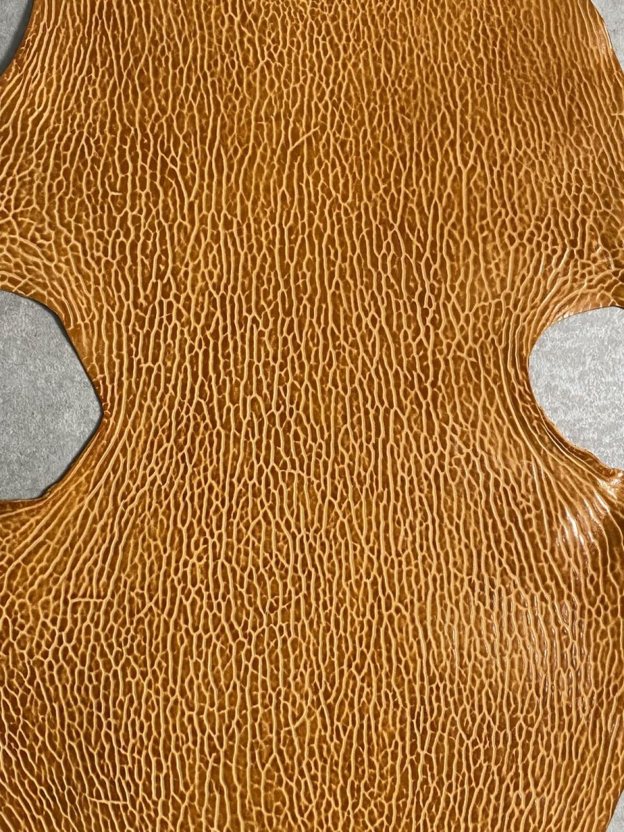 画像6: ケープシール　キャメル　オットセイ革　シールスキン　エキゾチックレザー (6)