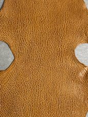 画像6: ケープシール　キャメル　オットセイ革　シールスキン　エキゾチックレザー (6)