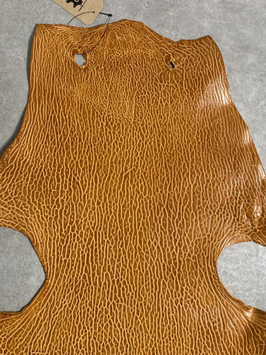 画像2: ケープシール　キャメル　オットセイ革　シールスキン　エキゾチックレザー (2)
