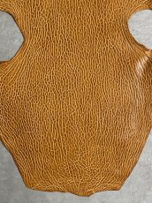 画像3: ケープシール　キャメル　オットセイ革　シールスキン　エキゾチックレザー (3)