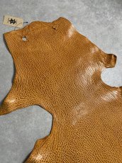 画像4: ケープシール　キャメル　オットセイ革　シールスキン　エキゾチックレザー (4)