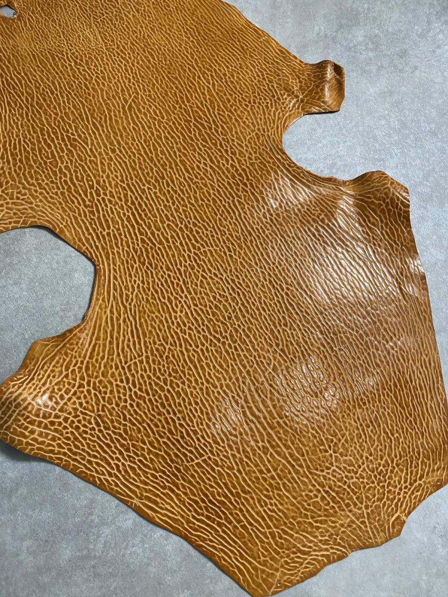 画像5: ケープシール　キャメル　オットセイ革　シールスキン　エキゾチックレザー (5)
