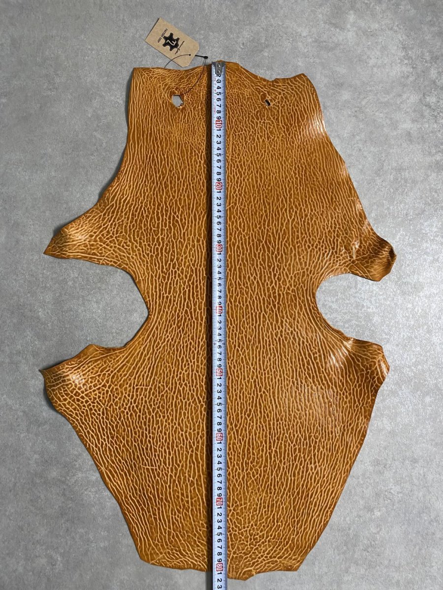 画像7: ケープシール　キャメル　オットセイ革　シールスキン　エキゾチックレザー (7)