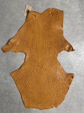 画像1: ケープシール　キャメル　オットセイ革　シールスキン　エキゾチックレザー (1)