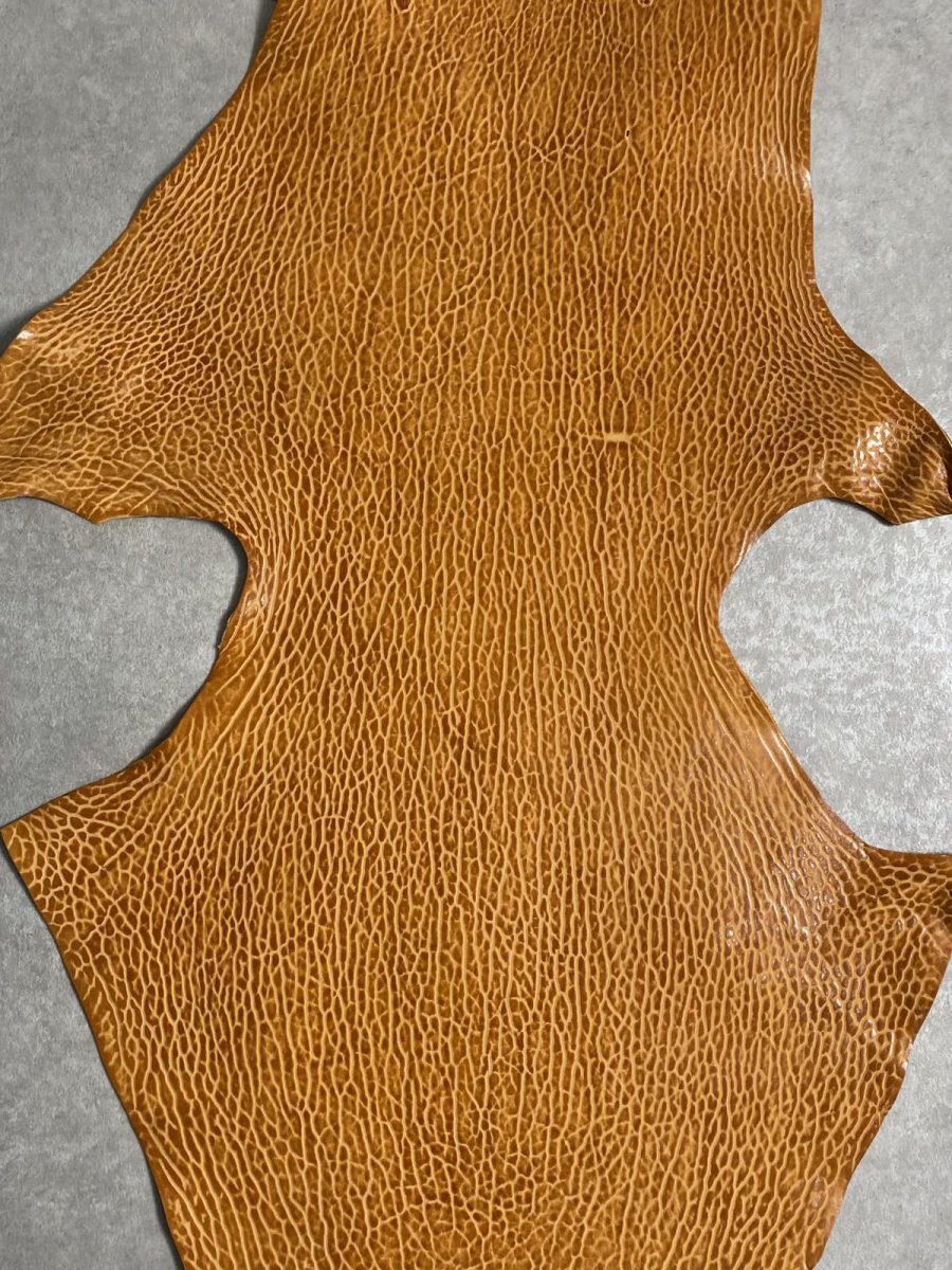 画像2: ケープシール　キャメル　オットセイ革　シールスキン　エキゾチックレザー (2)