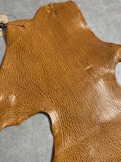 画像5: ケープシール　キャメル　オットセイ革　シールスキン　エキゾチックレザー (5)