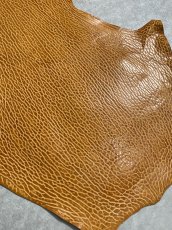 画像6: ケープシール　キャメル　オットセイ革　シールスキン　エキゾチックレザー (6)