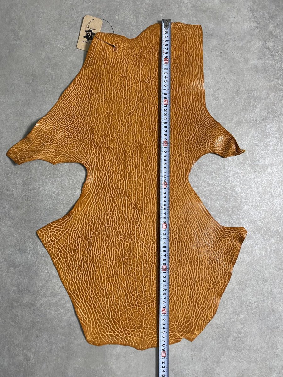 画像7: ケープシール　キャメル　オットセイ革　シールスキン　エキゾチックレザー (7)