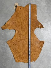 画像7: ケープシール　キャメル　オットセイ革　シールスキン　エキゾチックレザー (7)