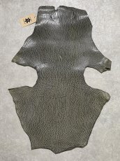 画像1: ケープシール　グレー　オットセイ革　シールスキン　 (1)