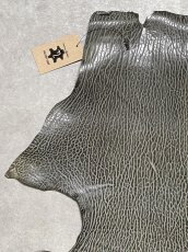 画像2: ケープシール　グレー　オットセイ革　シールスキン　 (2)