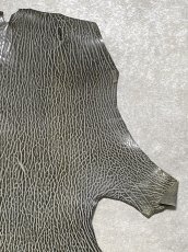 画像3: ケープシール　グレー　オットセイ革　シールスキン　 (3)