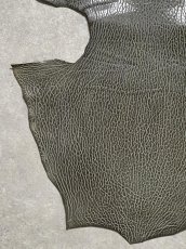 画像4: ケープシール　グレー　オットセイ革　シールスキン　 (4)