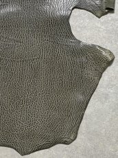 画像5: ケープシール　グレー　オットセイ革　シールスキン　 (5)