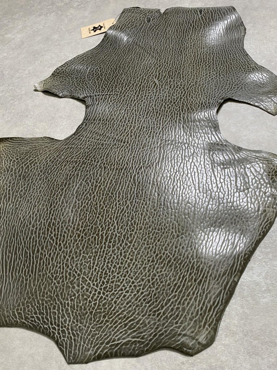 画像6: ケープシール　グレー　オットセイ革　シールスキン　 (6)