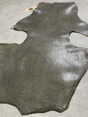 画像6: ケープシール　グレー　オットセイ革　シールスキン　 (6)