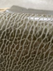 画像8: ケープシール　グレー　オットセイ革　シールスキン　 (8)