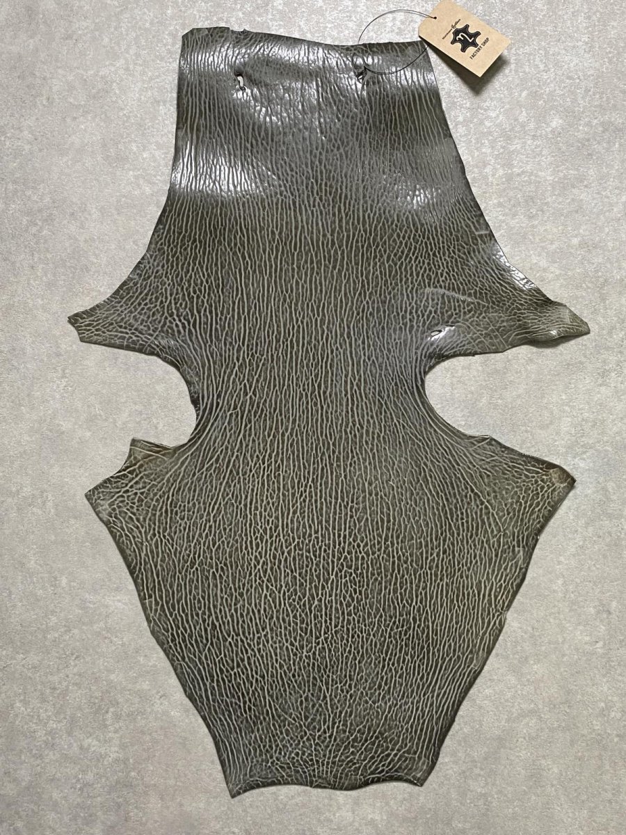 画像1: ケープシール　グレー　オットセイ革　シールスキン　 (1)