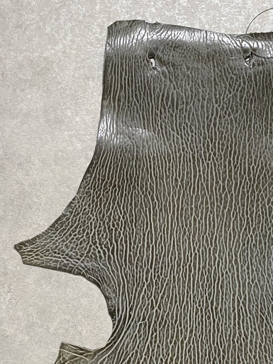 画像2: ケープシール　グレー　オットセイ革　シールスキン　 (2)