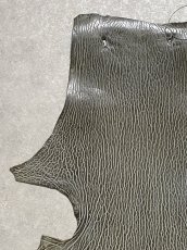 画像2: ケープシール　グレー　オットセイ革　シールスキン　 (2)