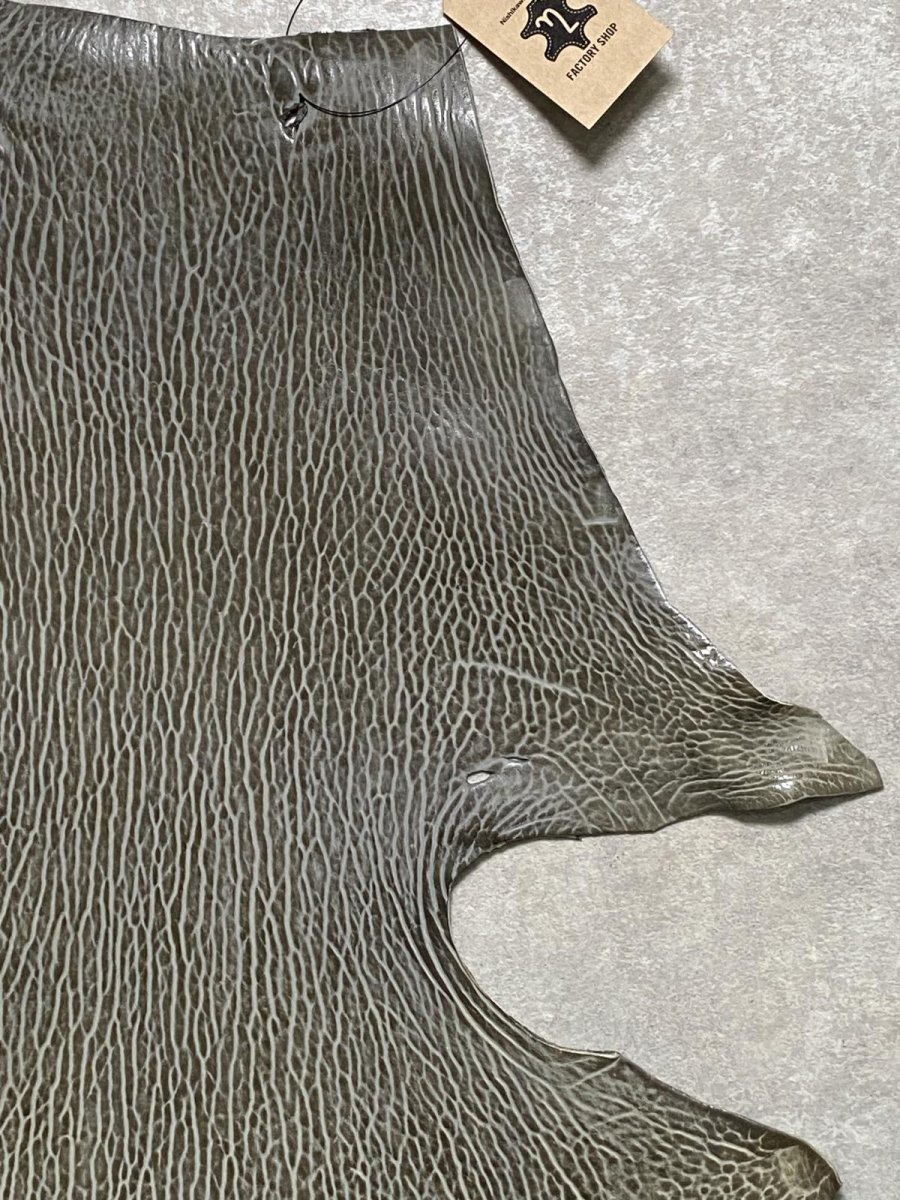 画像3: ケープシール　グレー　オットセイ革　シールスキン　 (3)