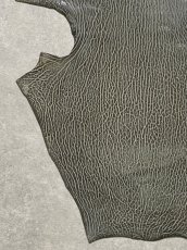 画像4: ケープシール　グレー　オットセイ革　シールスキン　 (4)